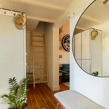 Boogas - Premium Gdańsk