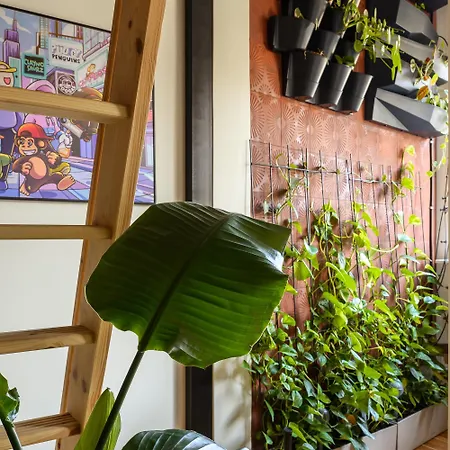 ホステル Boogas - Premium *