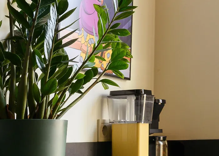 Vandrarhem Boogas - Premium *