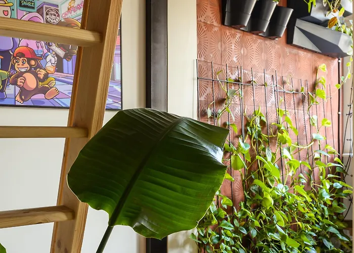 Vandrarhem Boogas - Premium *