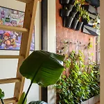 Boogas House - بيت شباب غدانسك