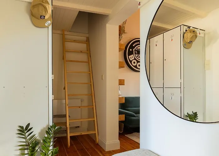 Boogas - Premium Gdańsk