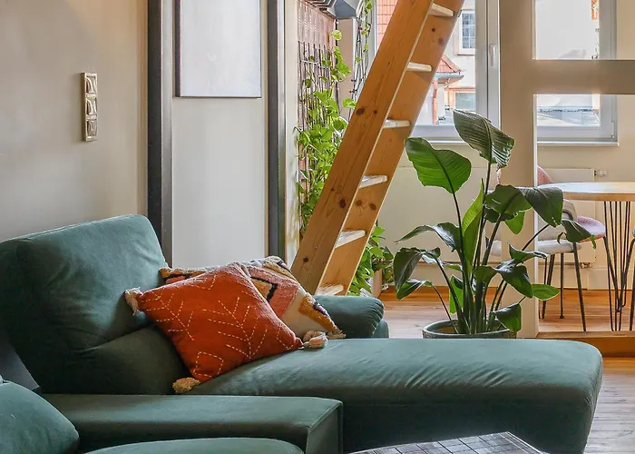 Boogas - Premium Vandrerhjem